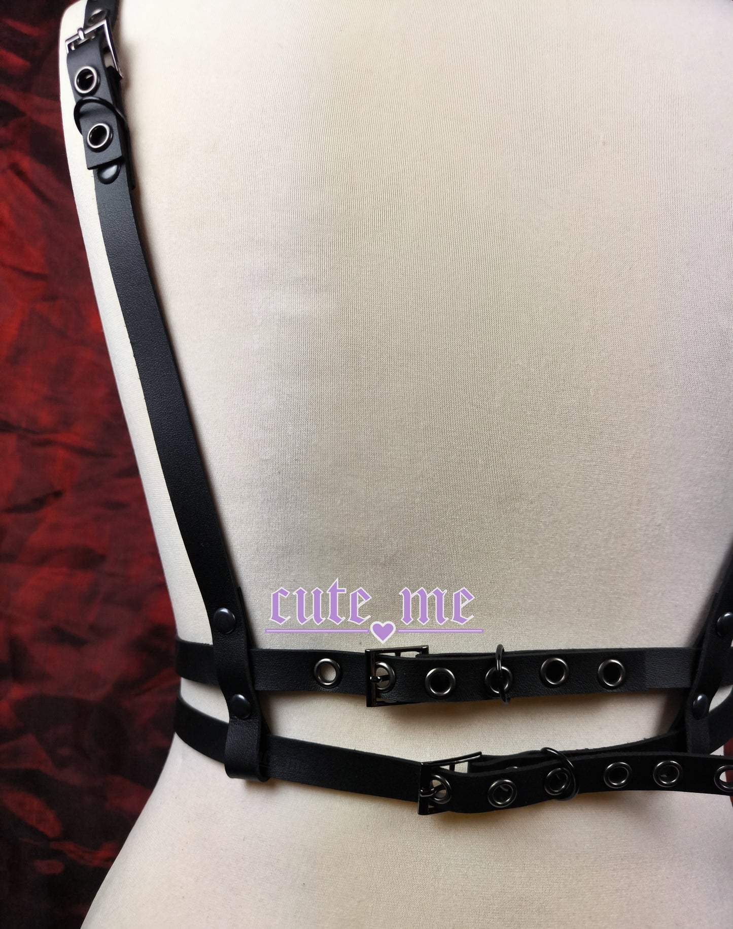 Harness RAY