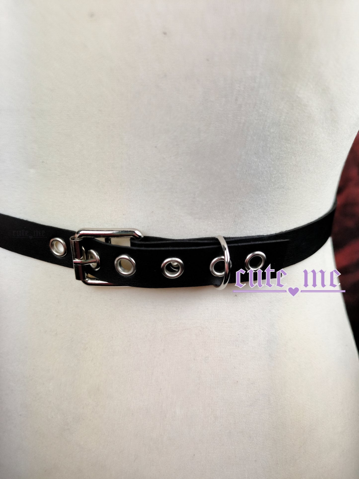 Harness ECLIPSE
