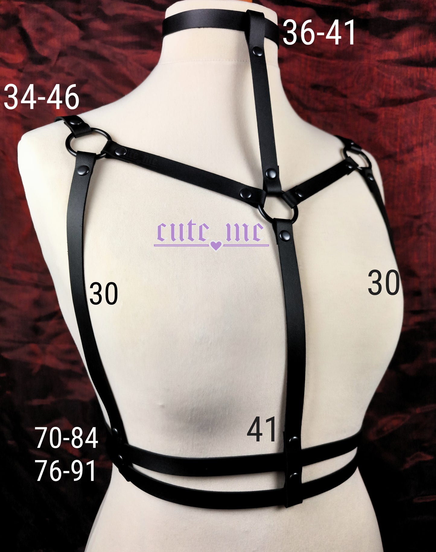 Harness RAY