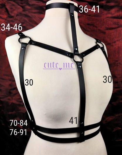 Harness RAY