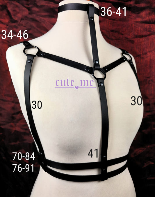 Harness RAY