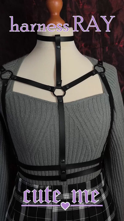 Harness RAY
